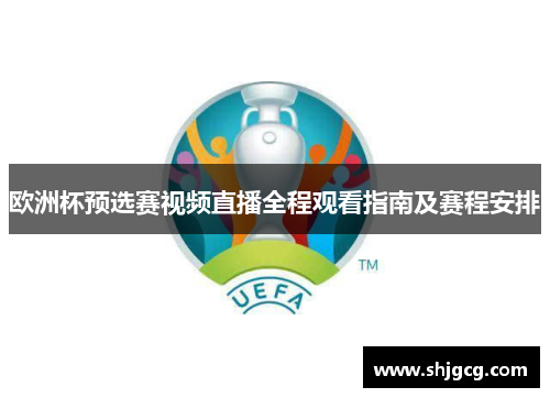 欧洲杯预选赛视频直播全程观看指南及赛程安排