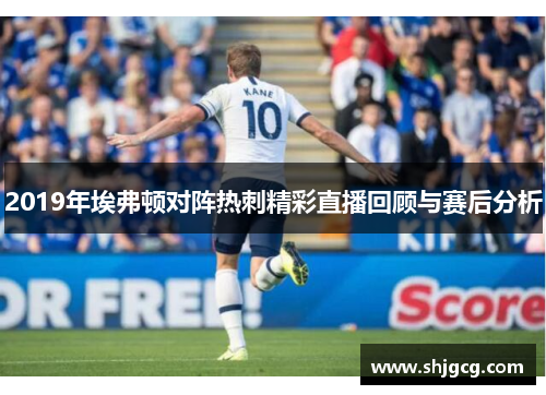 2019年埃弗顿对阵热刺精彩直播回顾与赛后分析
